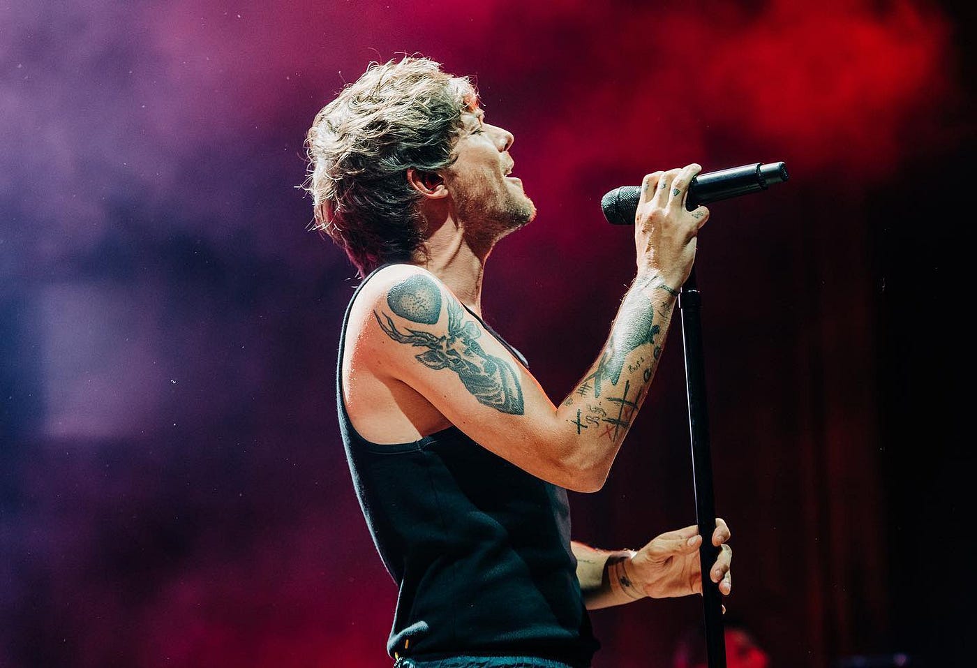 Louis Tomlinson, A Better Direction, by Addison Sage