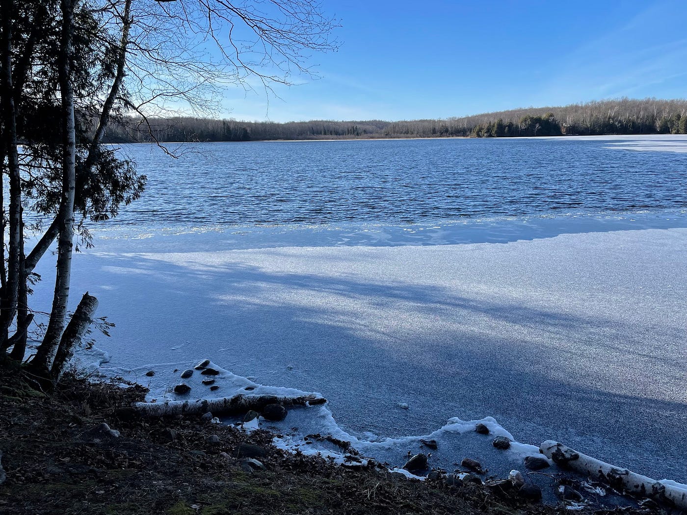 Partially frozen lake in Northern Wisconsin. Carol Labuzzetta, 2023.