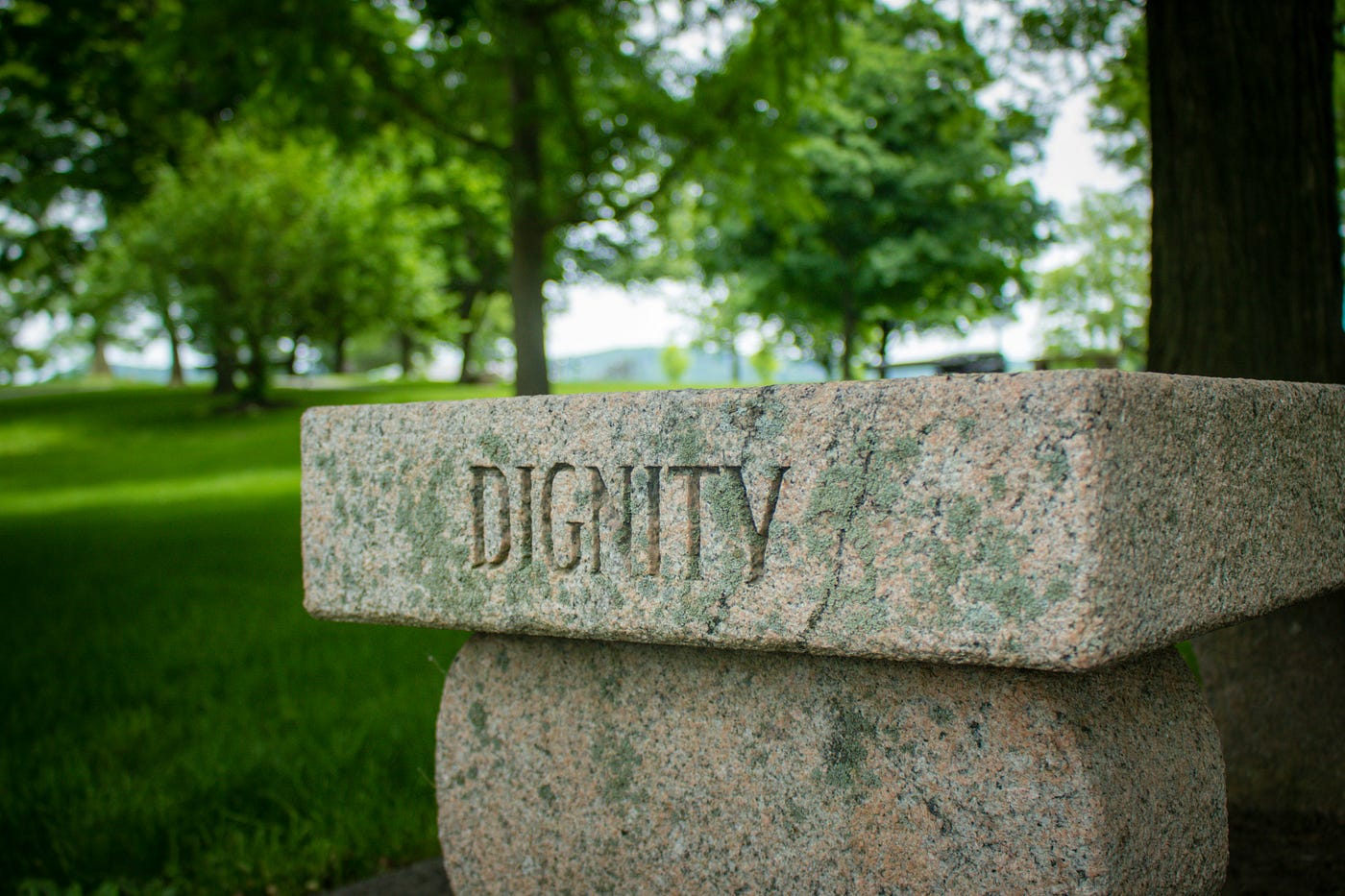 Photo by Dave Lowe on Unsplash