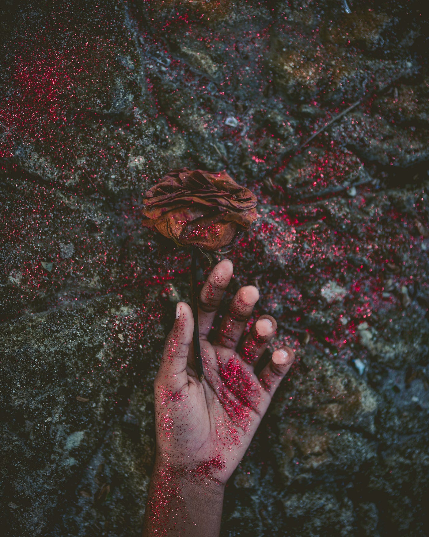 Javardh in Unsplash