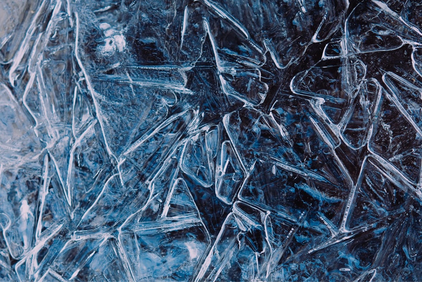 Tattooed Shards