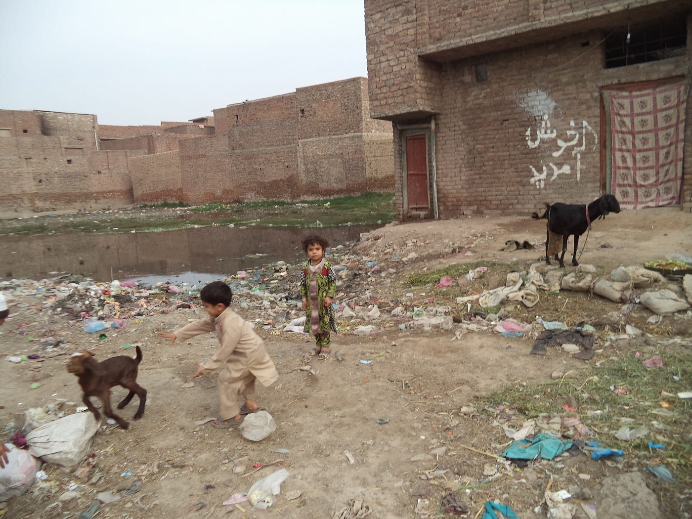 A child is playing with his goat beside garbage-strewn area and stagnant water in Peshawar, Pakistan. Photo by the author