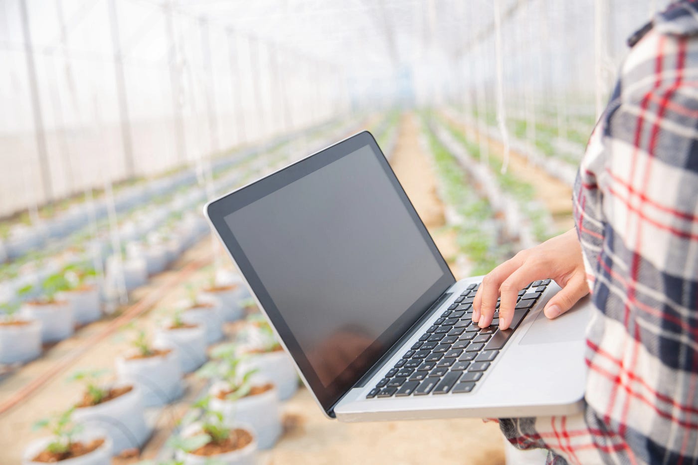Cuando la tecnología llega al campo: reflexiones globales