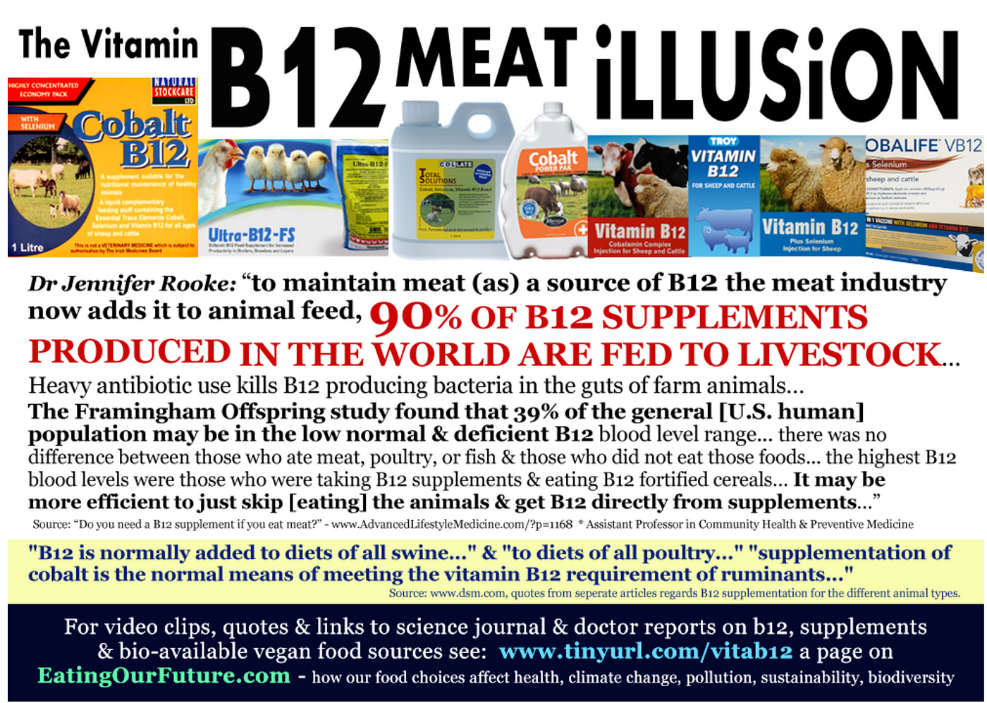 Where does B12 actually come from? | by Susie Pinon | The Orange Journal |  Medium
