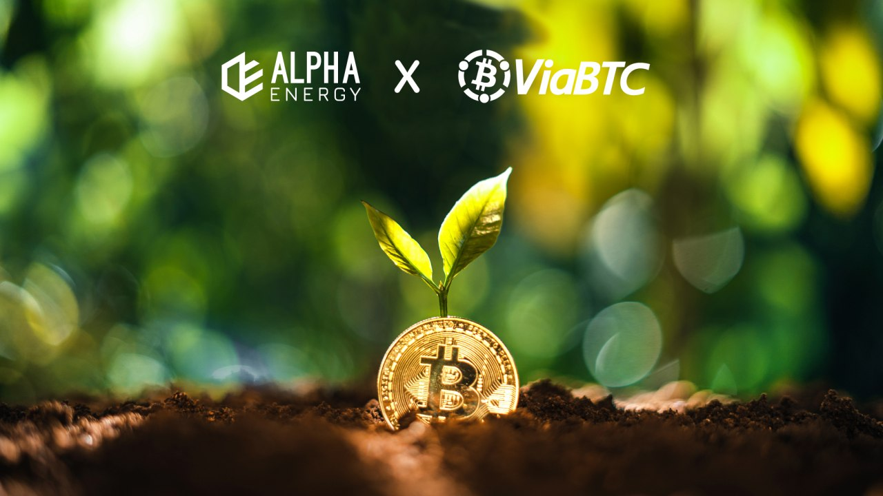ViaBTC & Alpha Energy Partnership | by ViaBTC | Medium