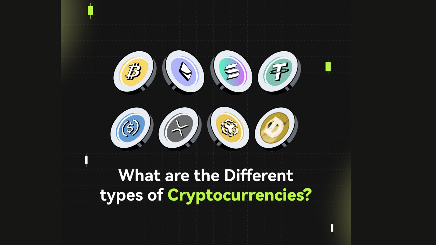 What Are The Different Types of Cryptocurrencies? 101 Guide For Beginners