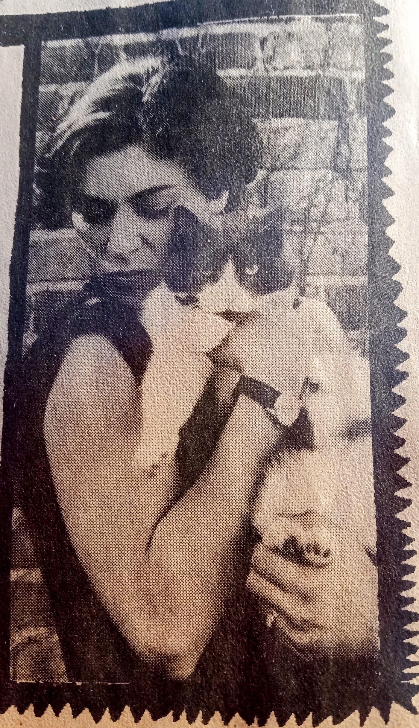 Diane DiMassa