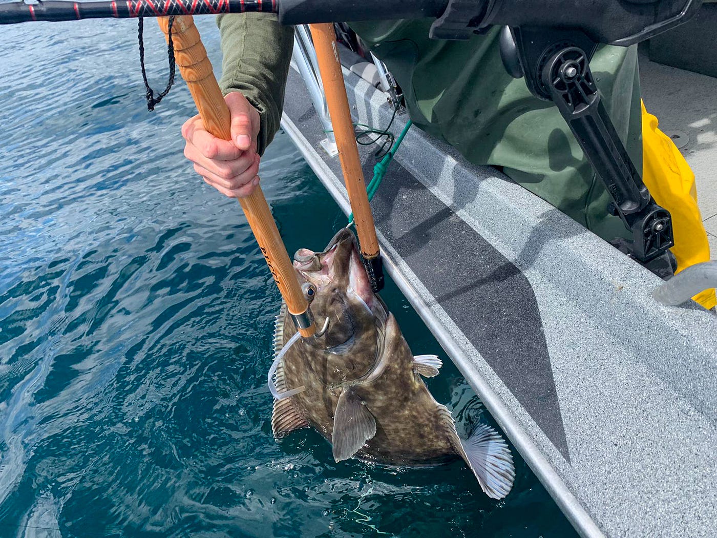 2023 Halibut Recreational Fishing Opportunities Likely, 57% OFF