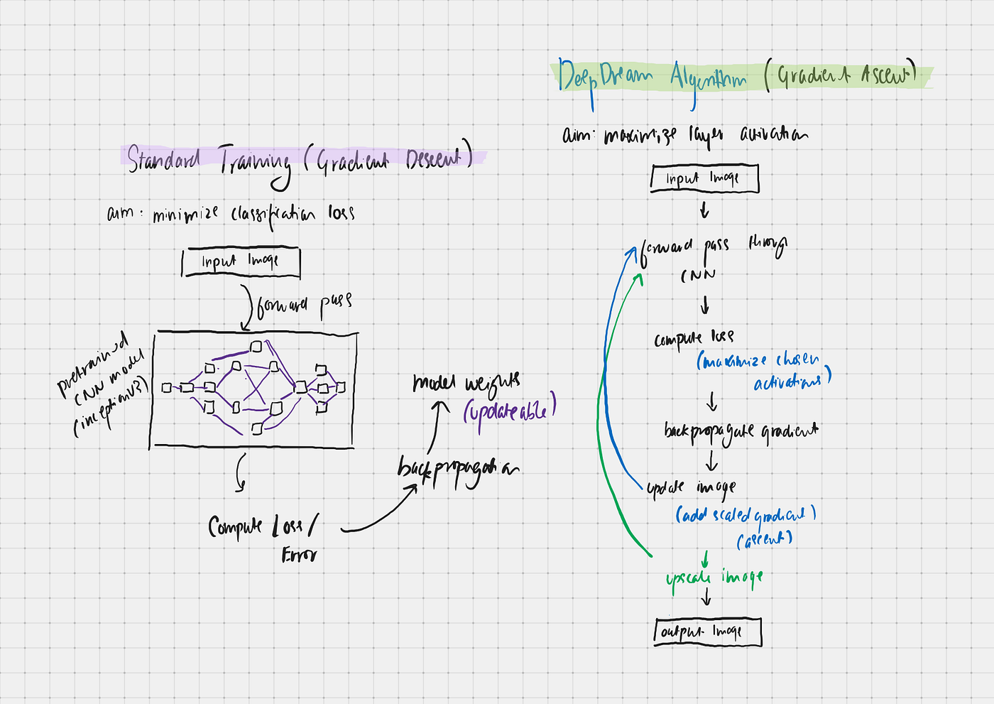 Figure 5: An architectural comparison of optimization paths. Standard training (left) uses Gradient Descent to tweak updateable model weights to minimize classification loss on a fixed input image. In contrast, the DeepDream algorithm (right) uses Gradient Ascent to freeze and padlock the pretrained CNN weights, instead utilizing backpropagation (d/dv) to iteratively update and optimize raw input image pixels to maximize selected layer activations (like mixed7).
