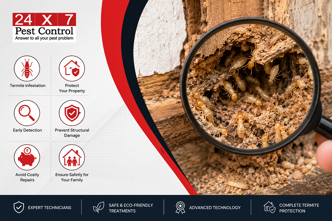 How to Choose the Best Bed Bugs Control Services in Lucknow