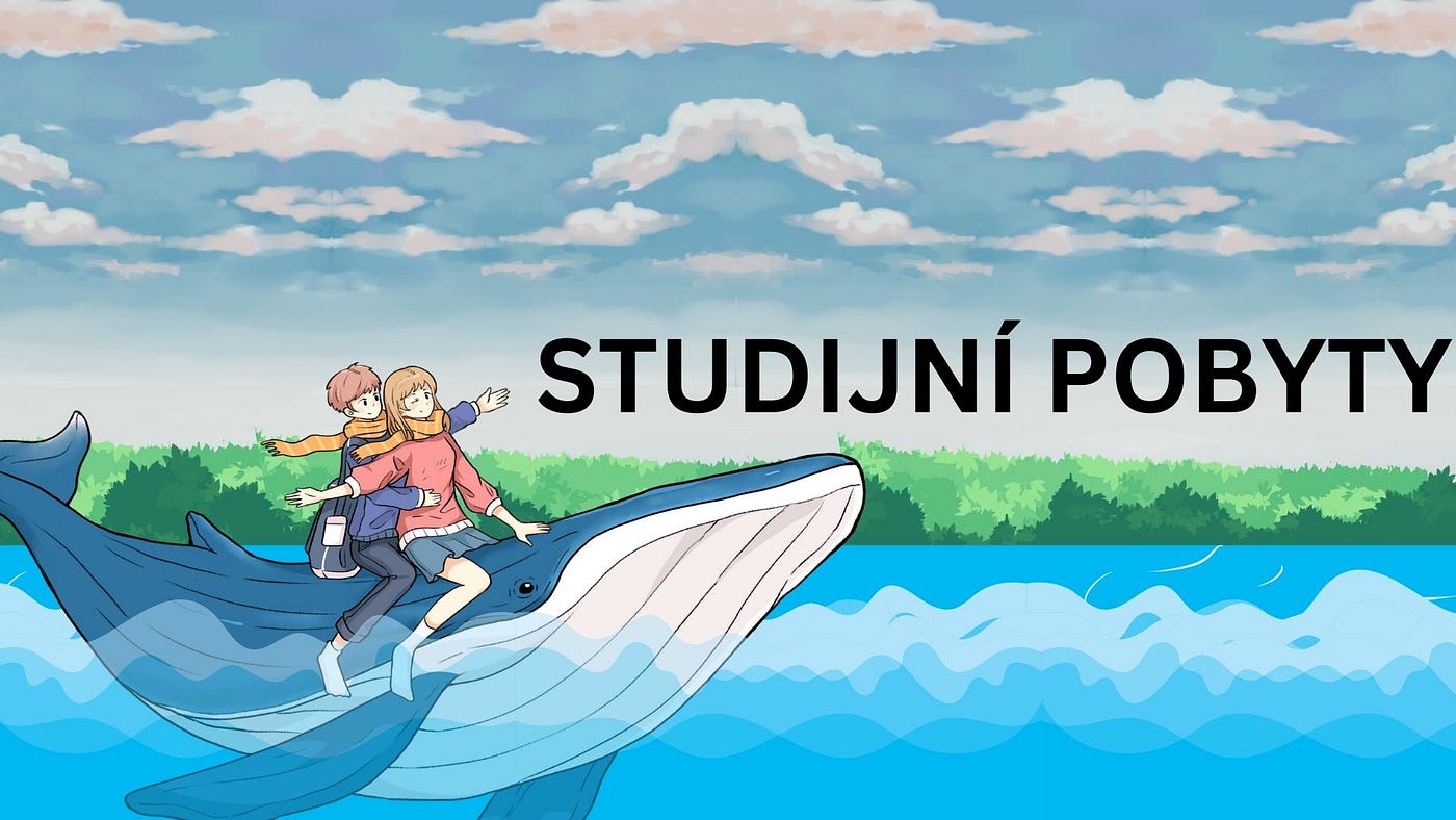 Studijní pobyty nabízené Masarykovou univerzitou
