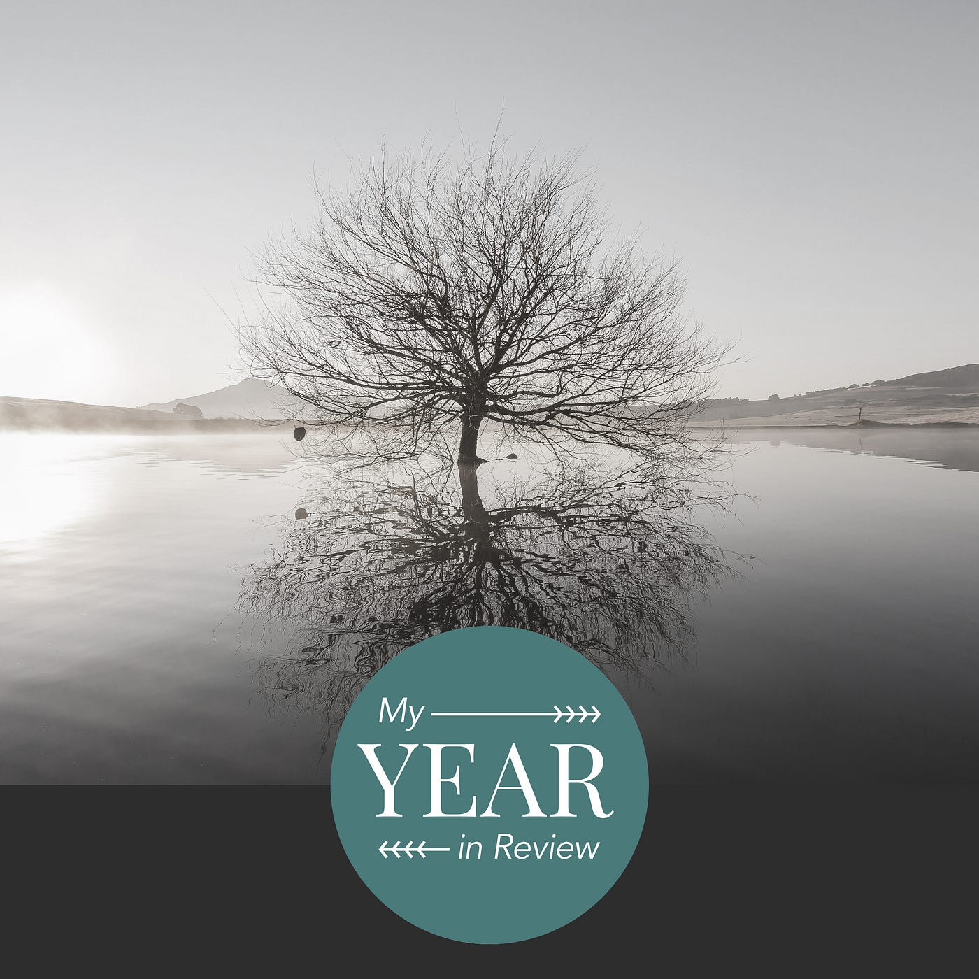 Intro to My Year In Review: “This Is Not What I Expected.”