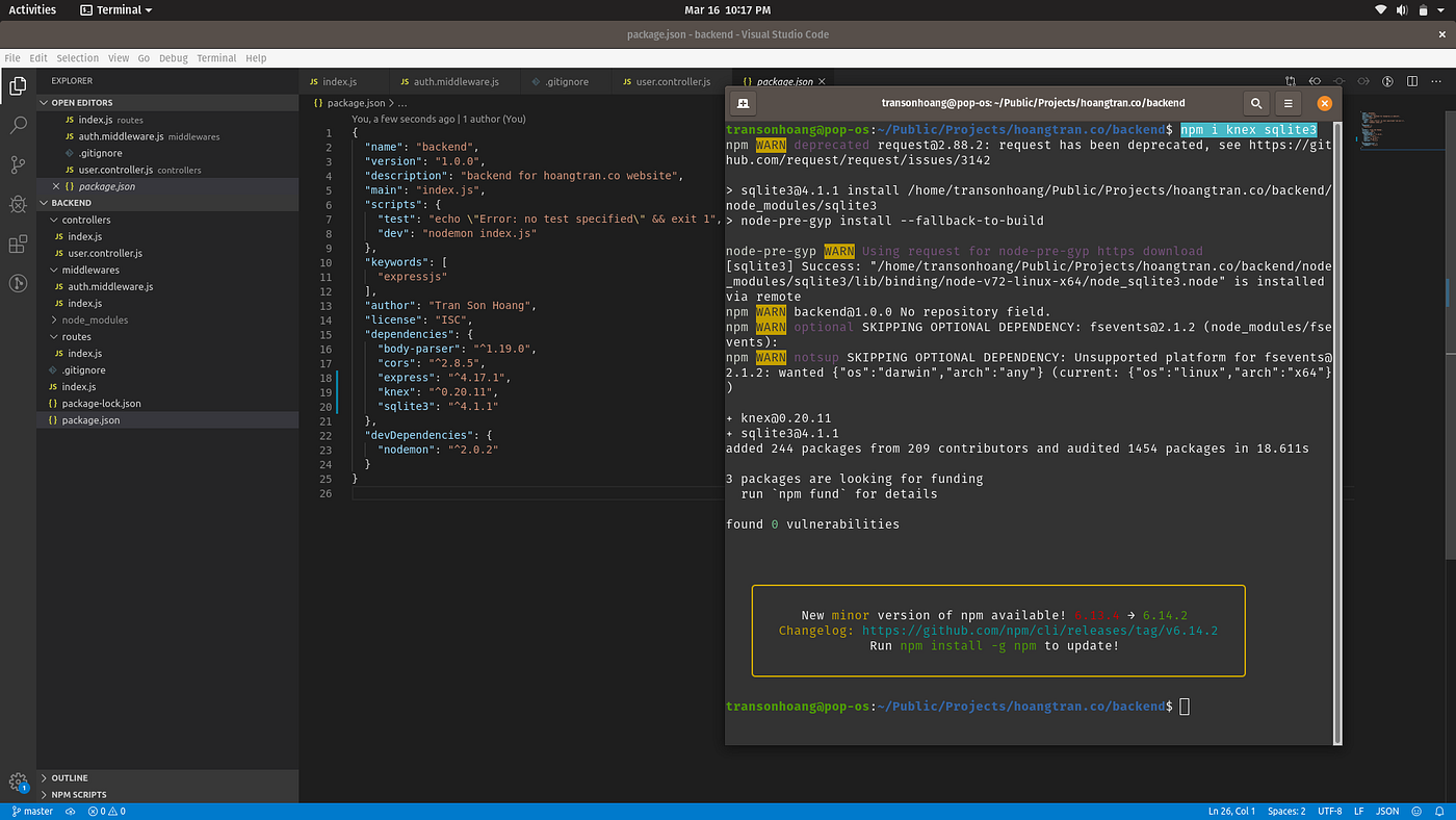 The Complete Guide to Connecting to a Database in Node.js | by TRAN SON  HOANG | Level Up Coding
