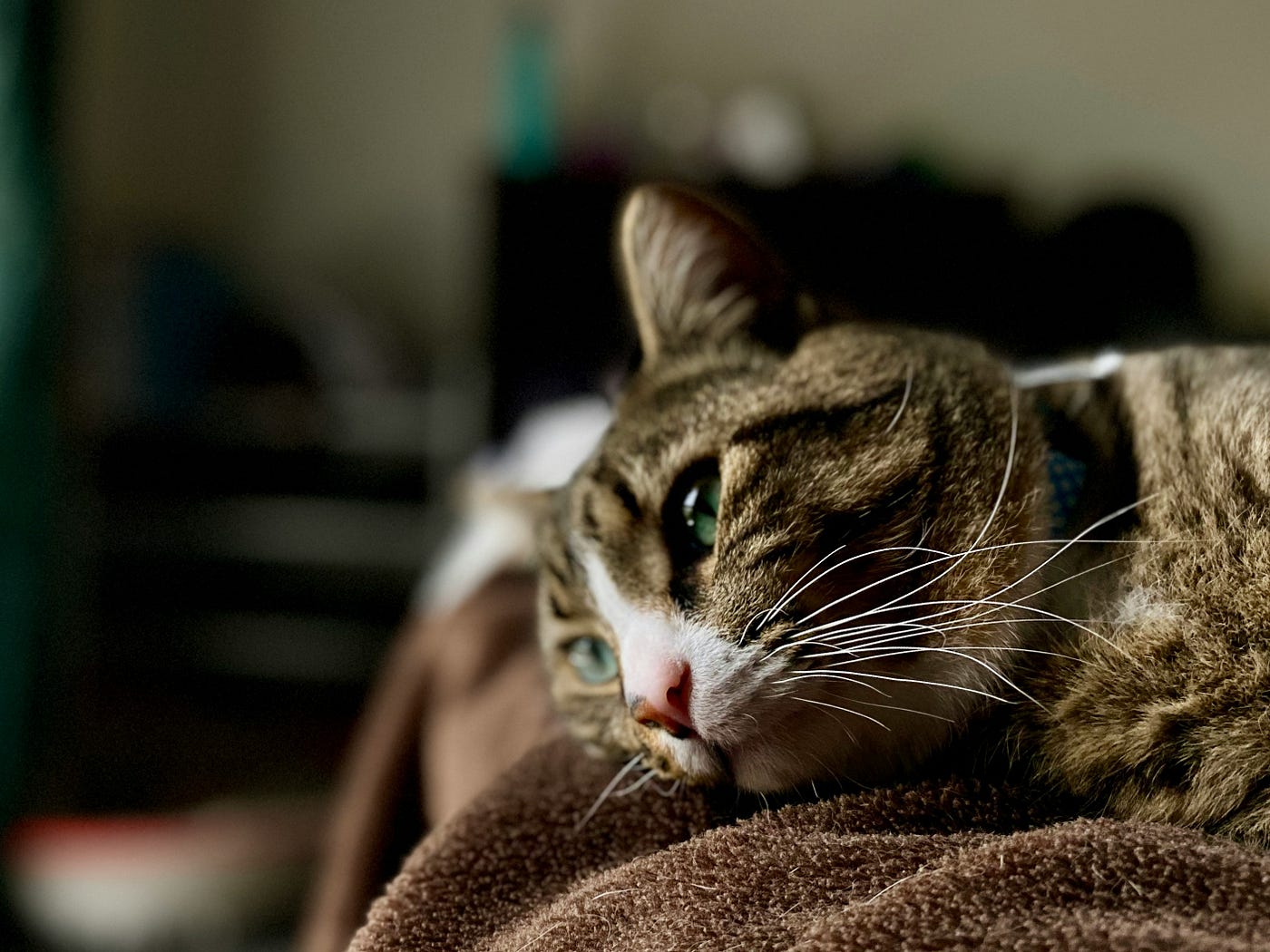 Photo by Tim King on Unsplash
