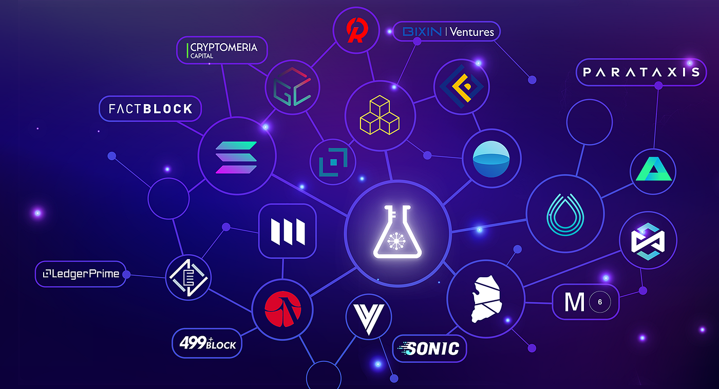 Dexlab Investor Report. A brief breakdown of our backers and… | by Dexlab |  Dexlab-Official | Medium