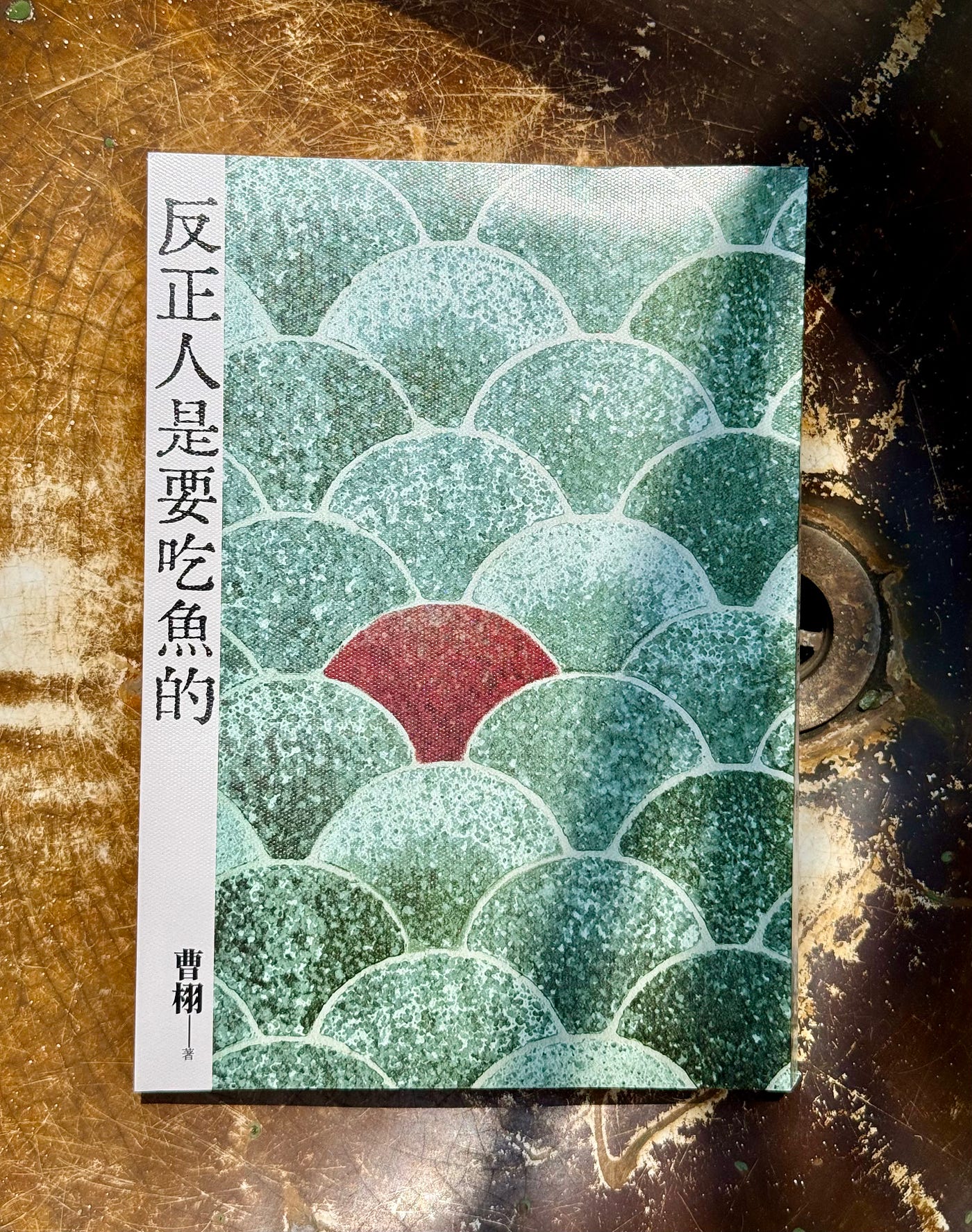 [書評] 僻處瞭望──讀曹栩《反正人是要吃魚的》