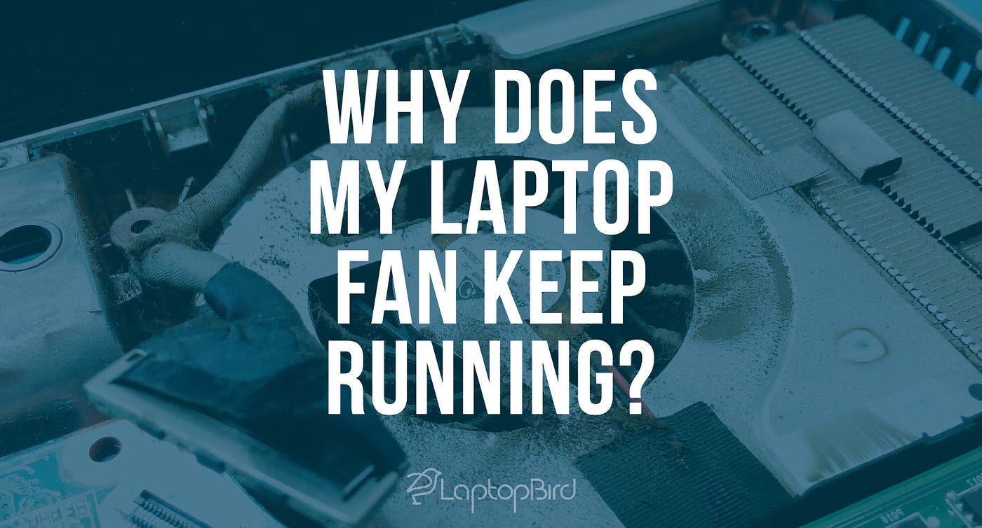 Why Does My Laptop Fan Keep Running Continuously? | by LaptopBird | Medium