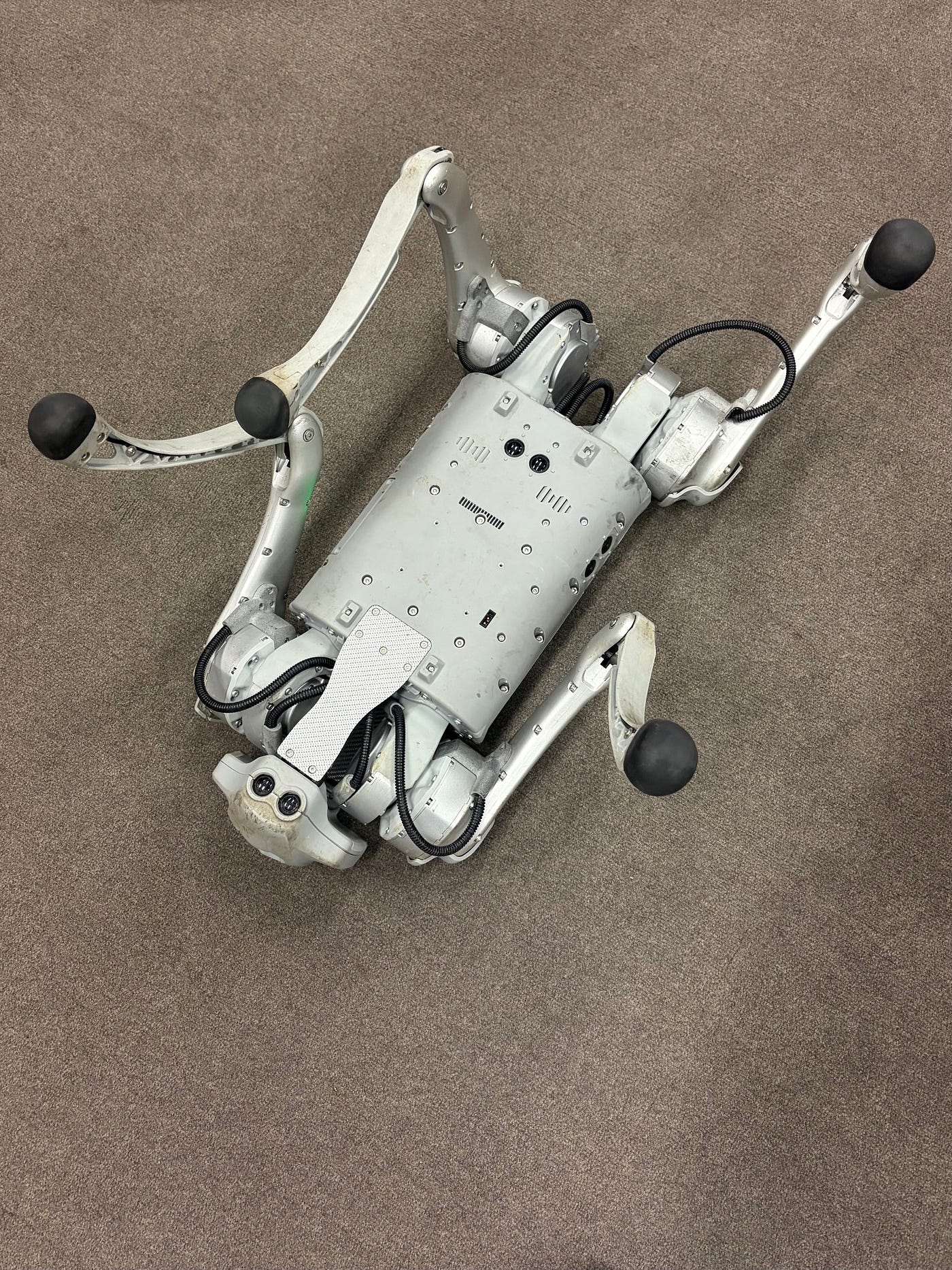 Foray into the Realm of Quadruped Robots — from winners of the SoTA26 Trust Everything Hackathon