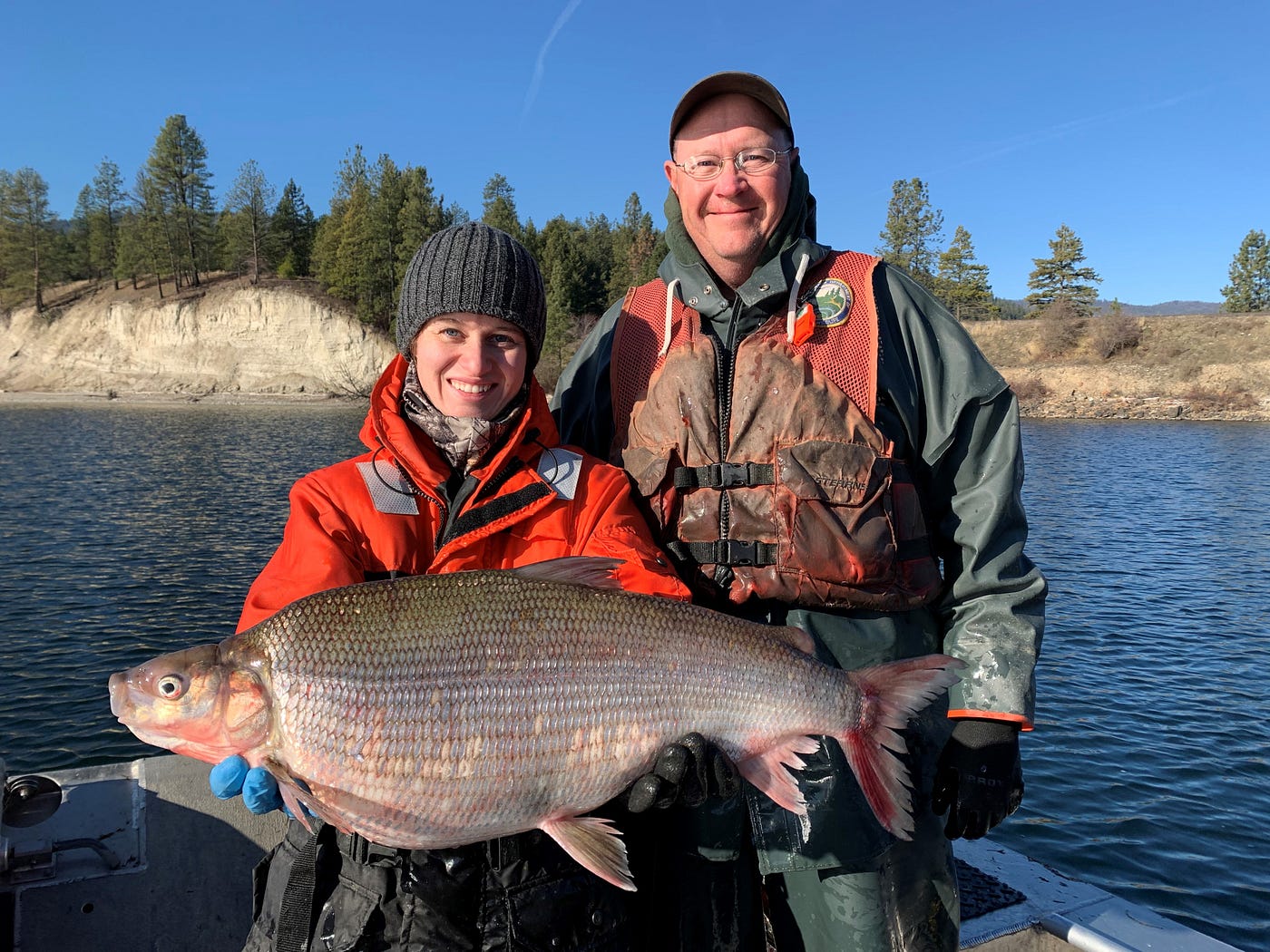 Bank on Banks Lake to cash in on a rousing lake whitefish fishery | by The  Washington Department of Fish and Wildlife | Medium