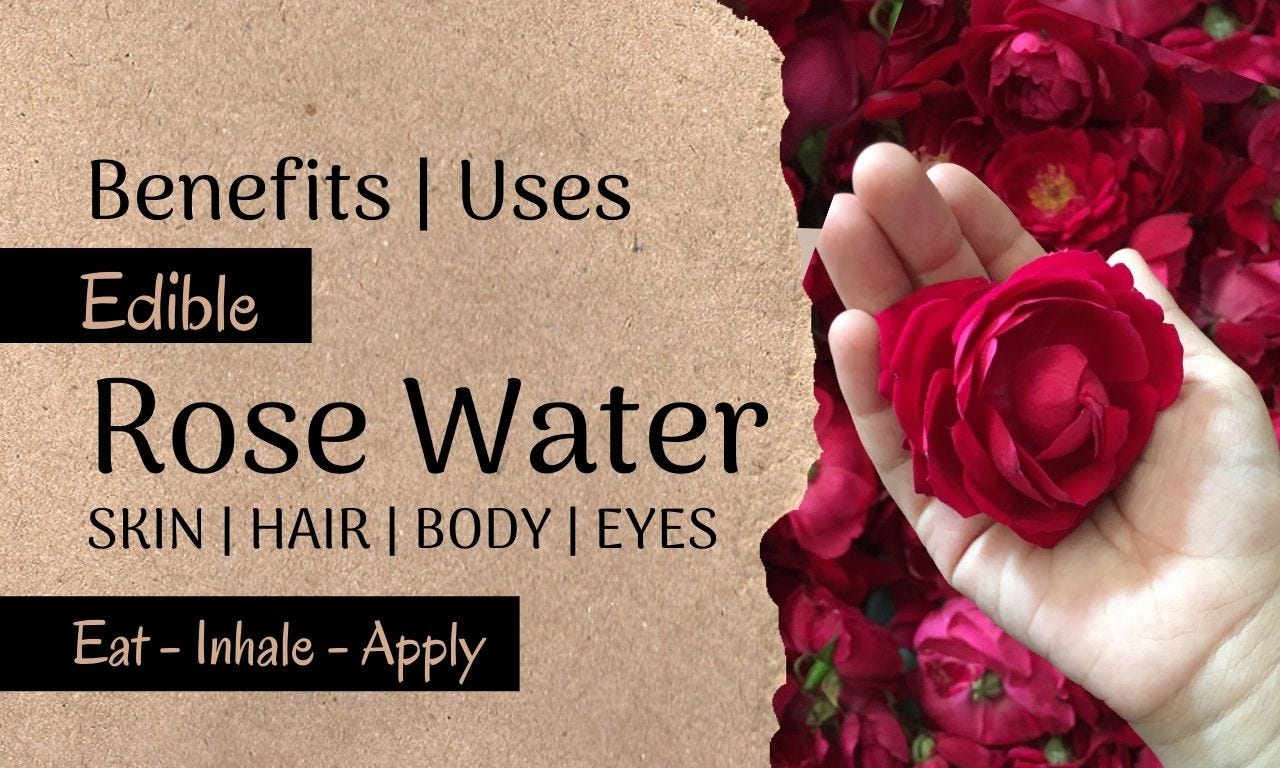 Rose water: Benefits, uses, and side effects