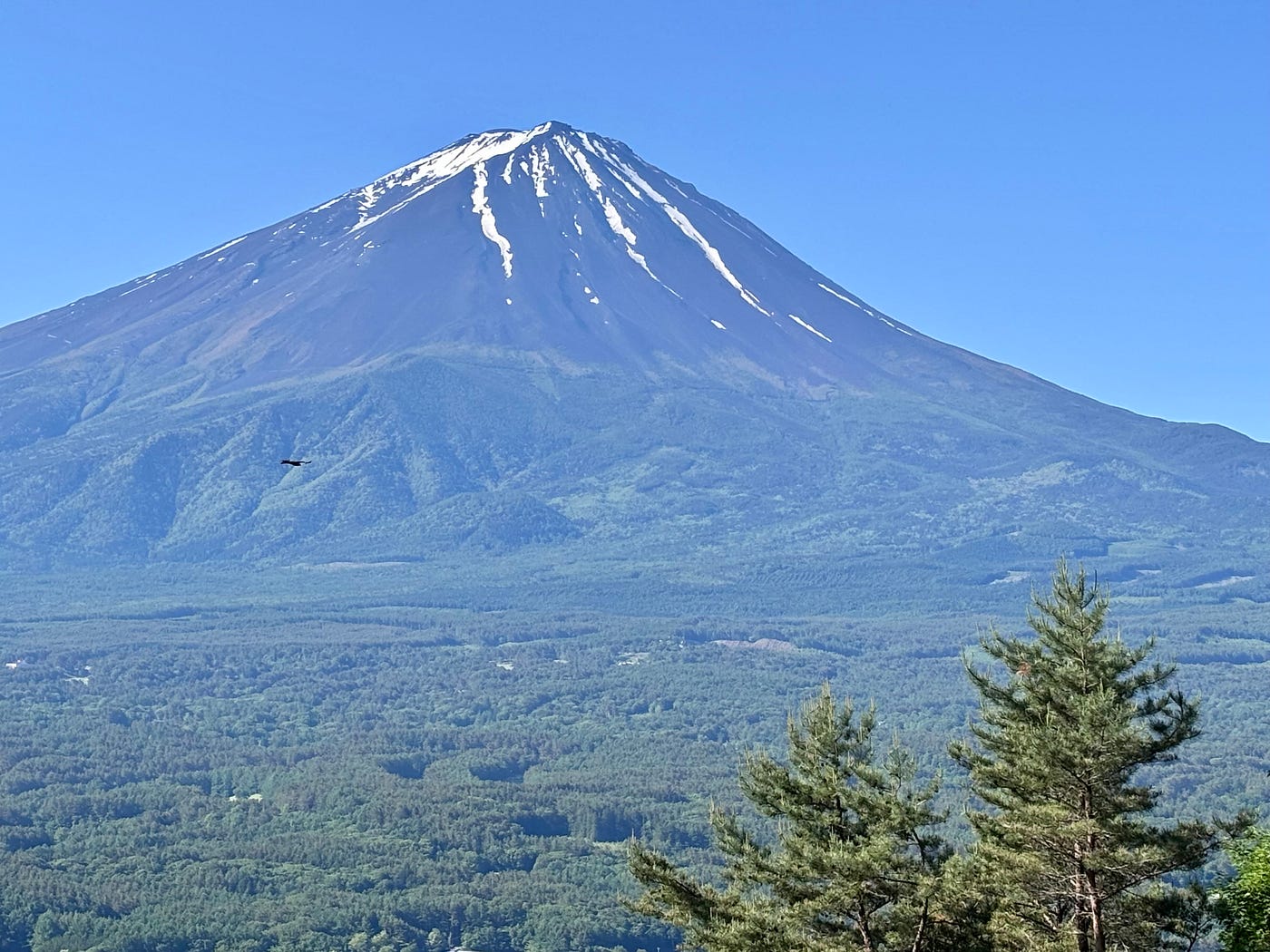 Hiking to Mount Fuji Reconnected Me with Myself