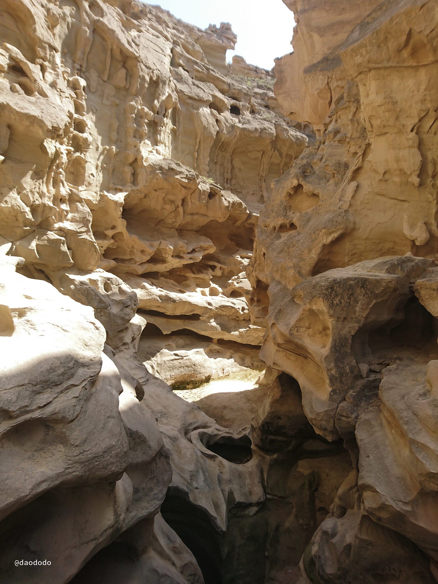 Day 41: Queshm Island (2), Iran