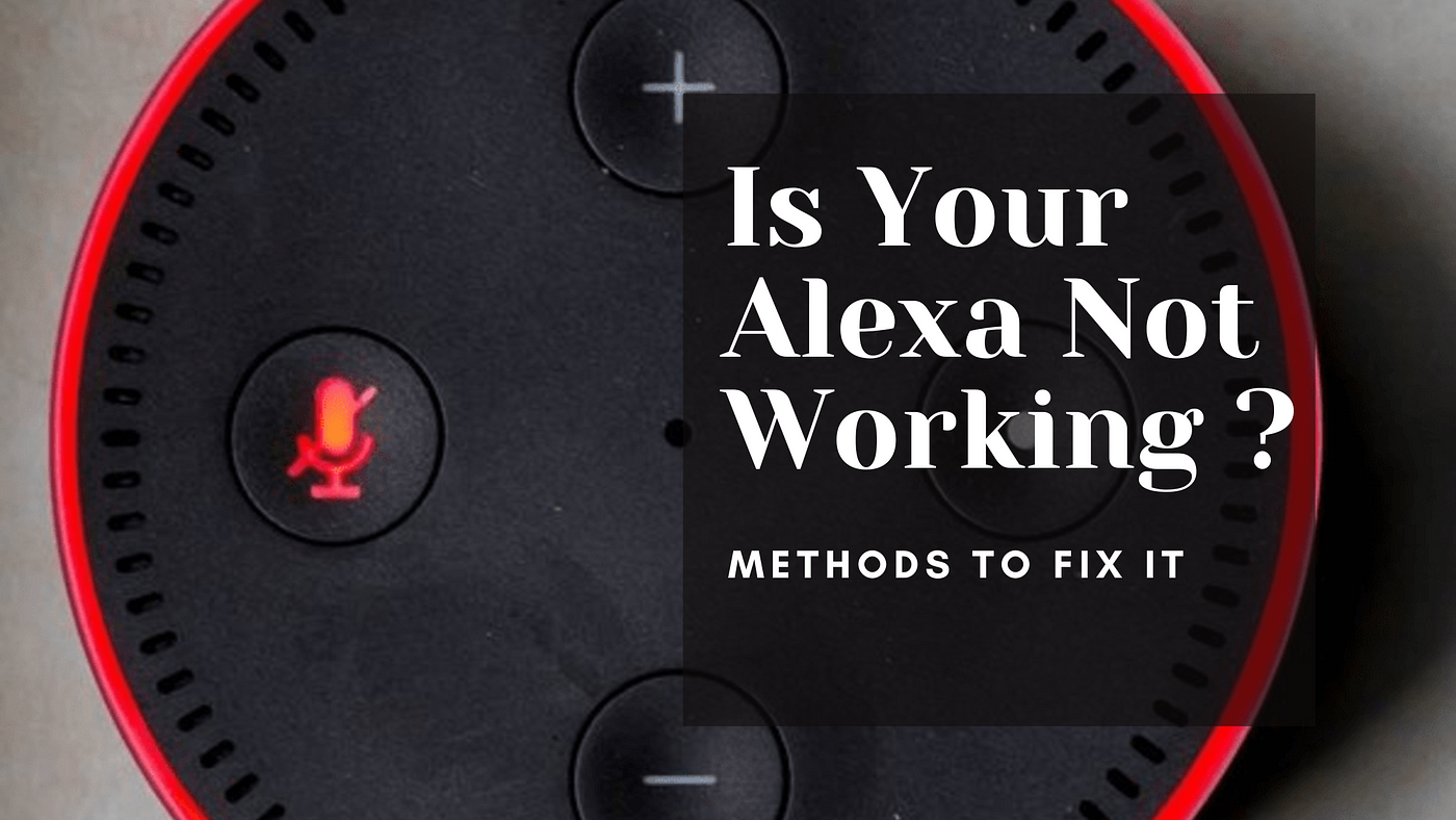 Is Your Alexa Not Working? Methods to Fix It | by Alexa Echo Dot Helpline |  Medium