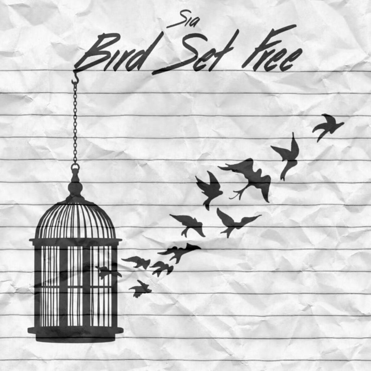 Setting Myself Free. Bird Set Free, a song by Sia, is in my… | by mk |  COMM430GU | Medium