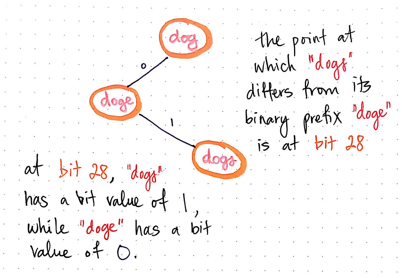 Compressing Radix Trees Without (Too Many) Tears | by Vaidehi