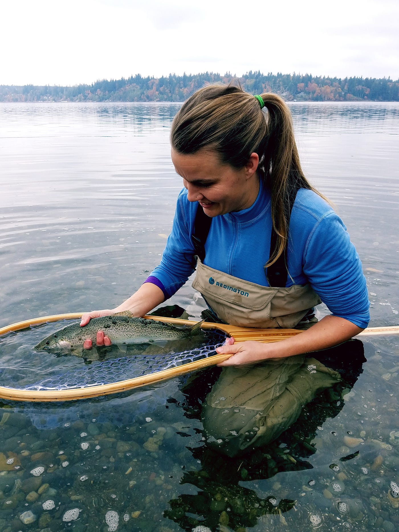 Ghost nets still fishing in the deep waters of Puget Sound