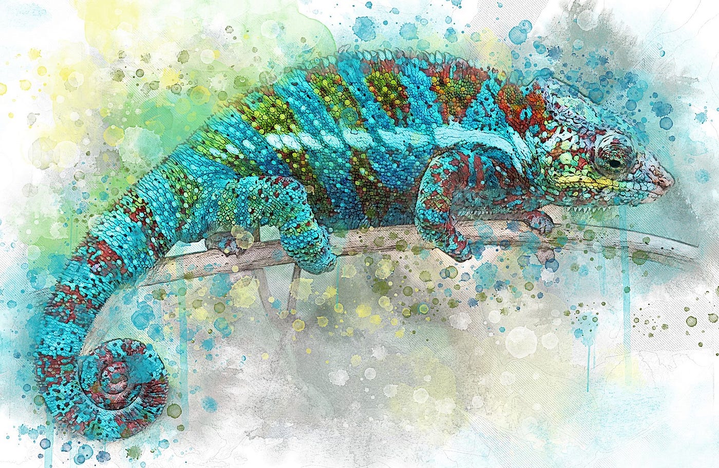 The Chameleon: The Spirit Animal of Borderline Personality Disorder | by  KevinRedmayne | Invisible Illness | Medium