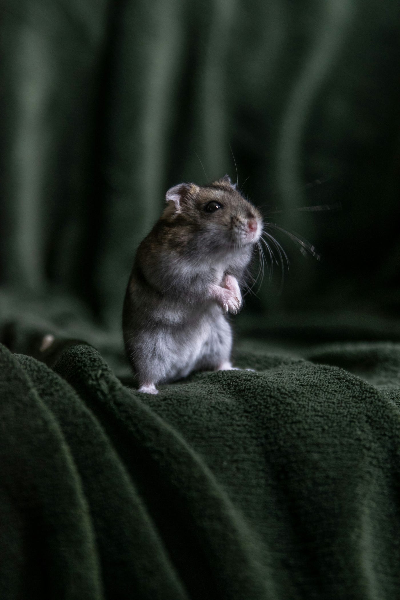 Photo by Frenjamin Benklin on Unsplash