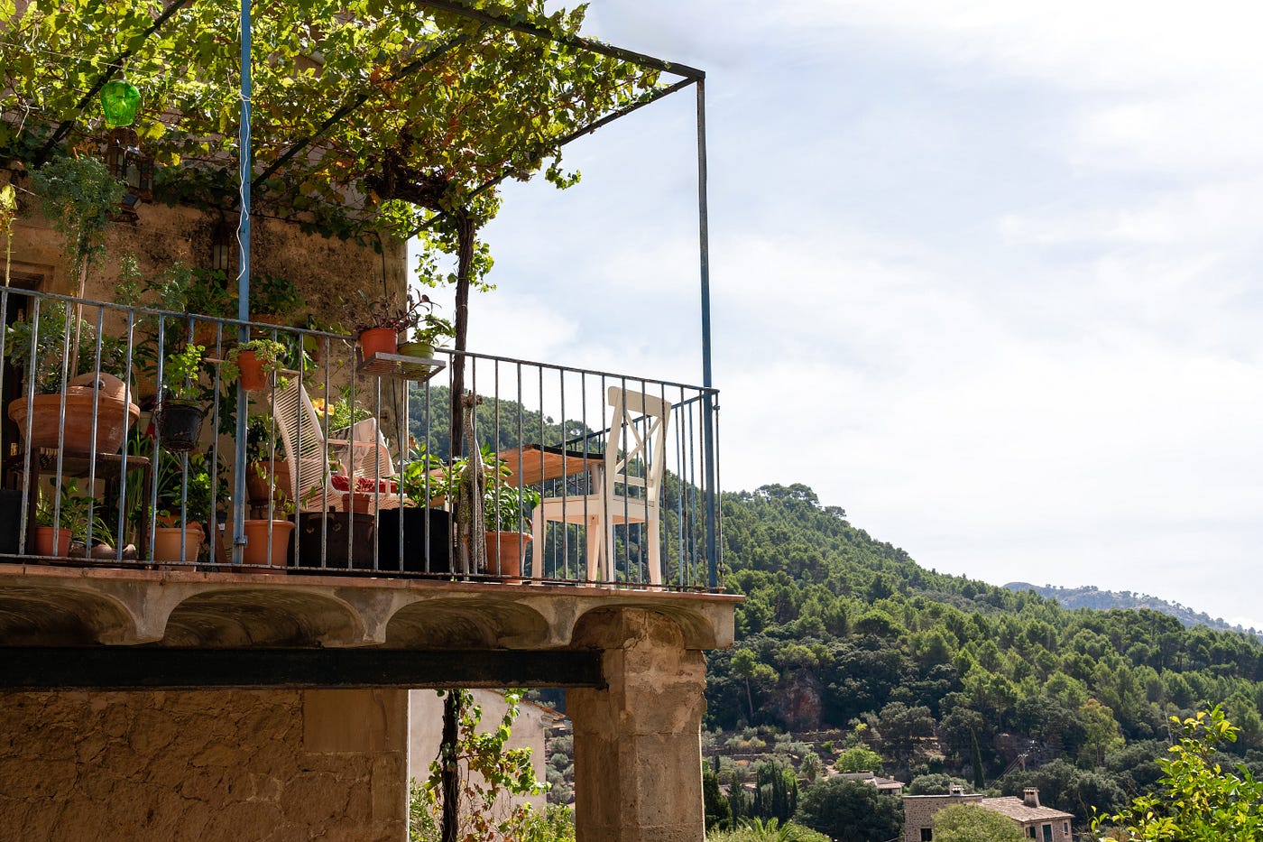 How Many Fruit Trees Can Fit on a Balcony? (And Why Most People Get It Wrong)