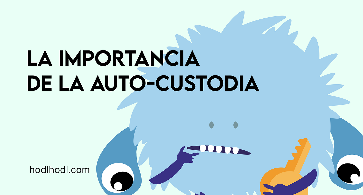 La importancia de la auto-custodia | by Hodl Hodl | Hodl Hodl en Español |  Medium