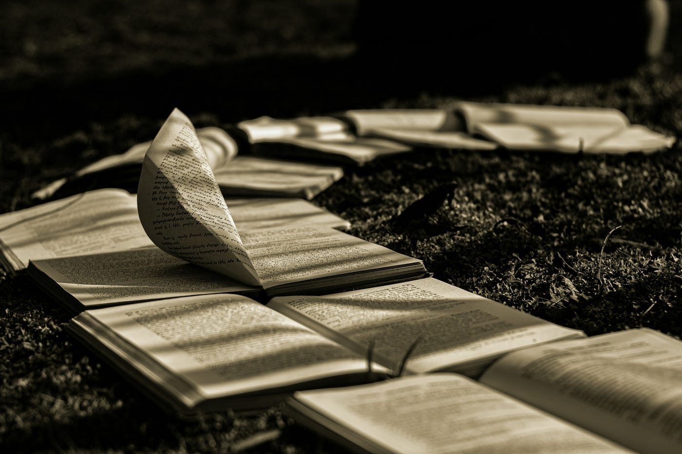 Photo by Dav Hovhannisyan on Unsplash