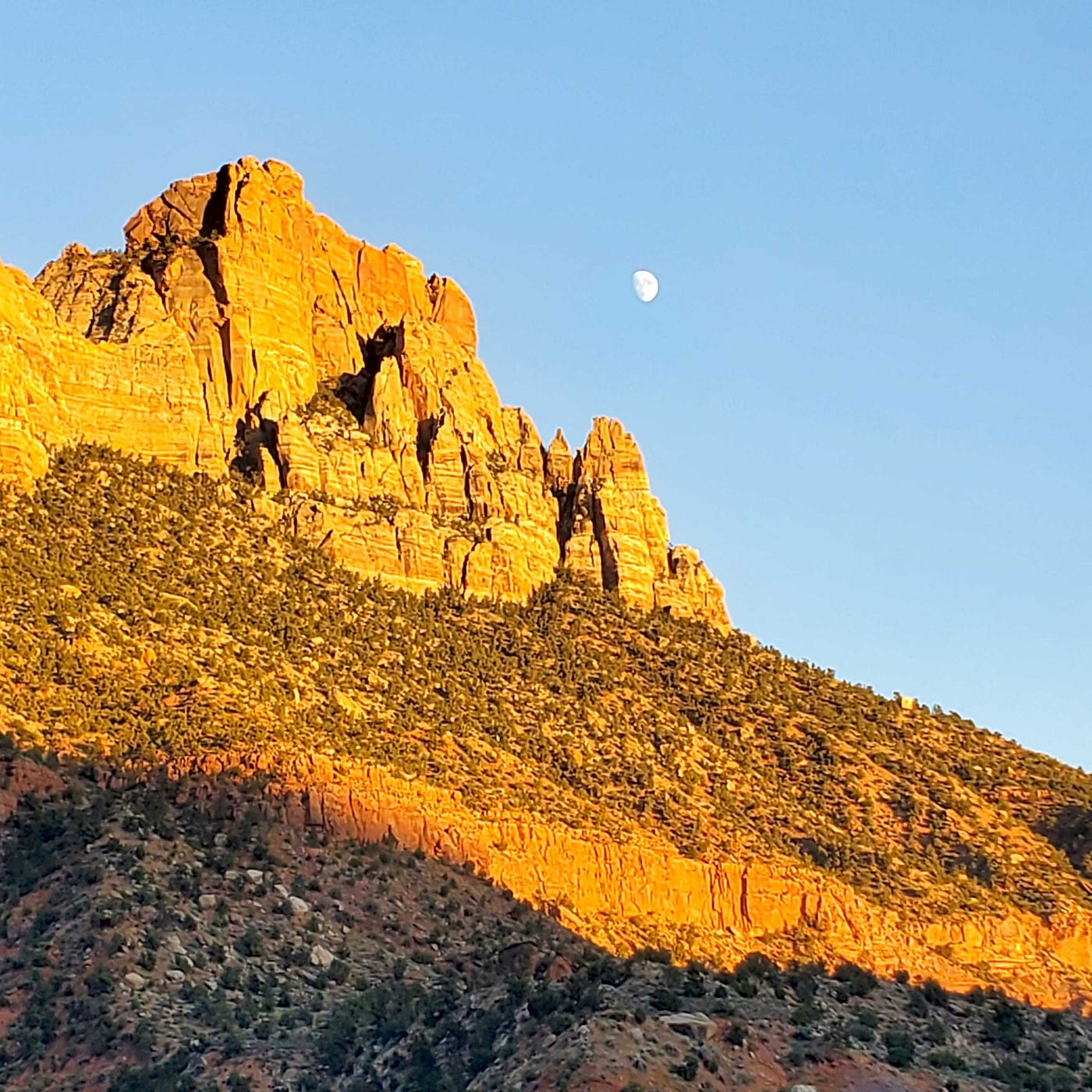 Picture by the author (Zion National Park)