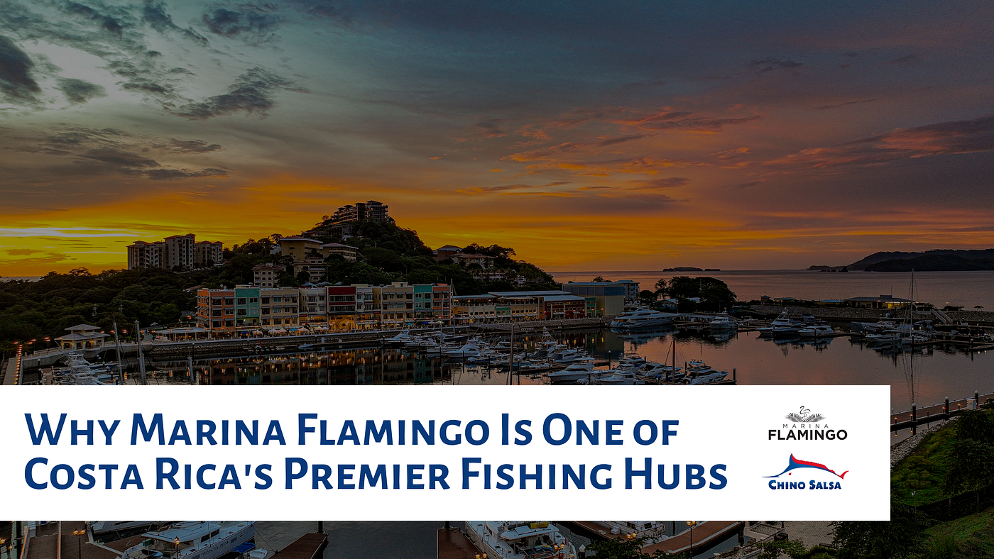 Why Marina Flamingo is one of Costa Rica’s premier fishing hubs