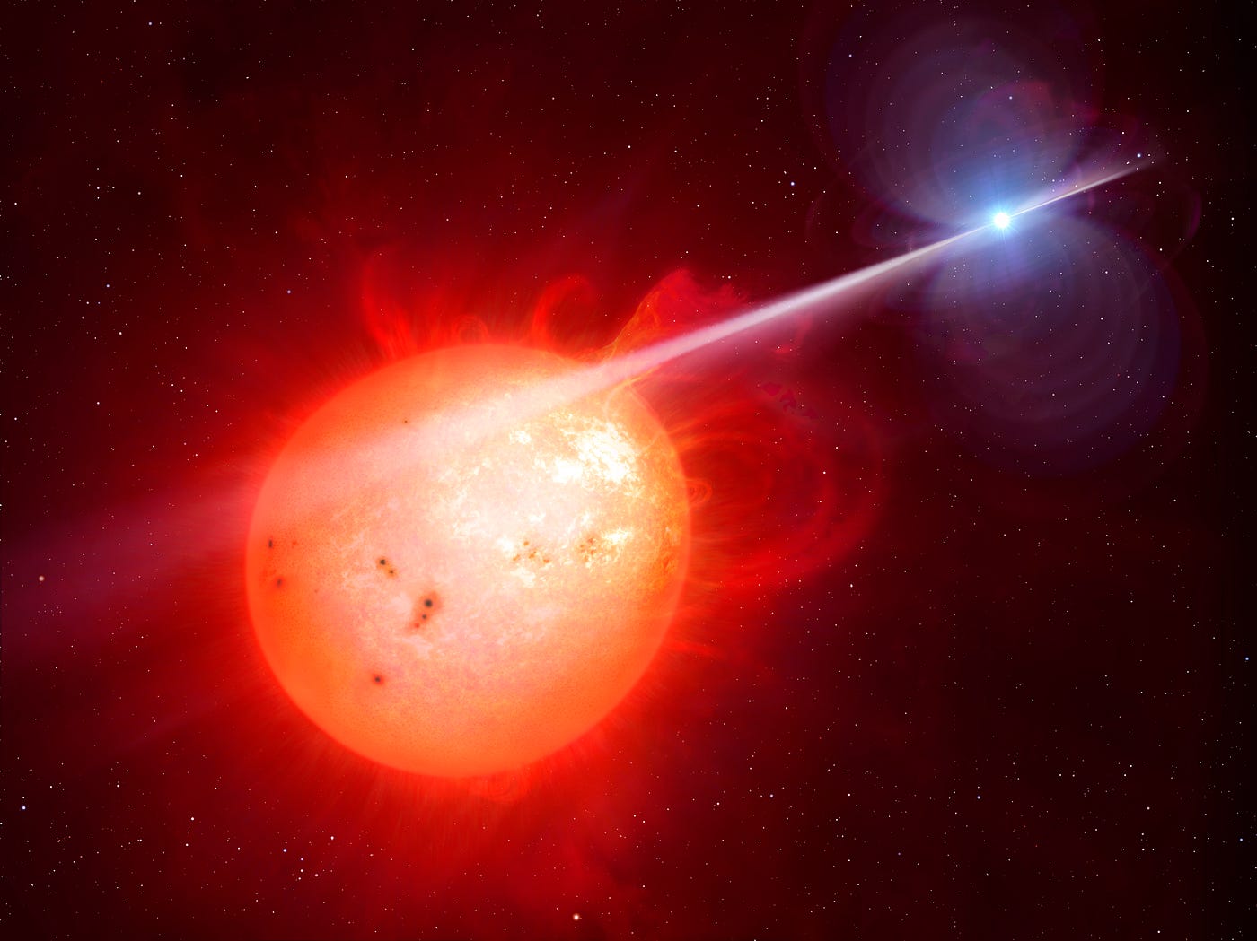 Una gravità bestiale (4/4)
