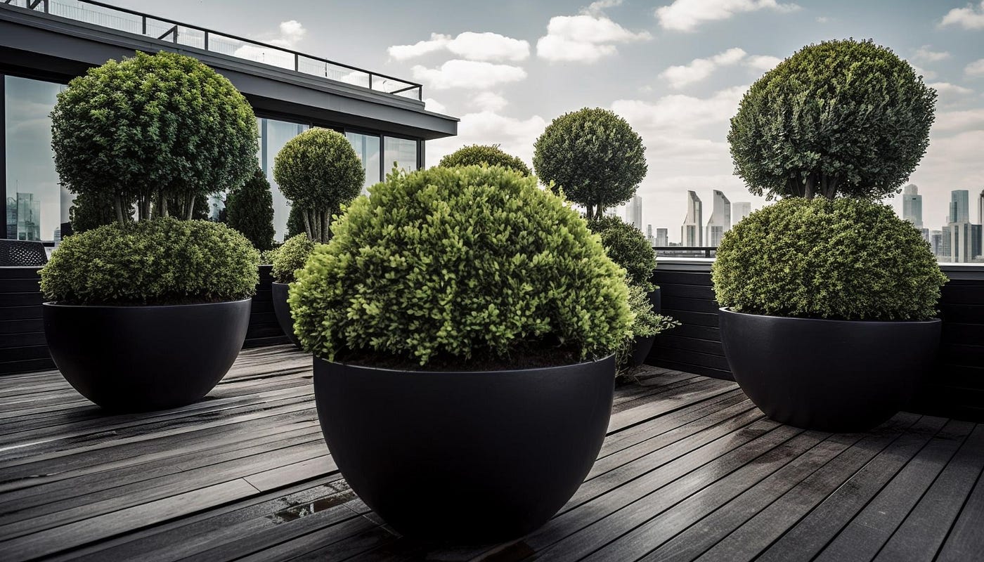 Large outdoor sale planters