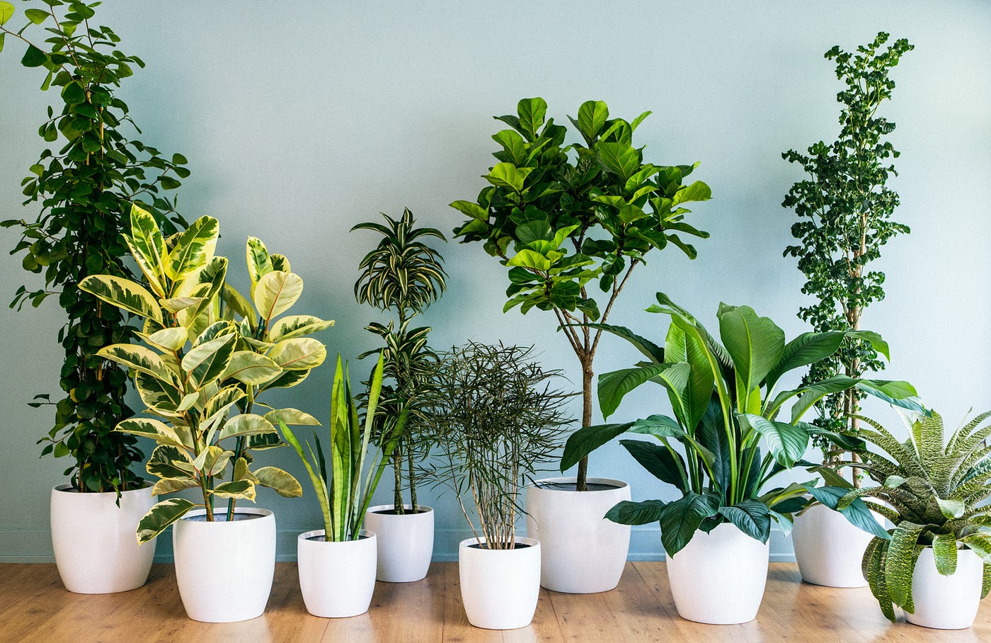 big fake indoor plants Dekorly Plastic Fake Plants Artificial Floor Plants Large Tropical Pal
