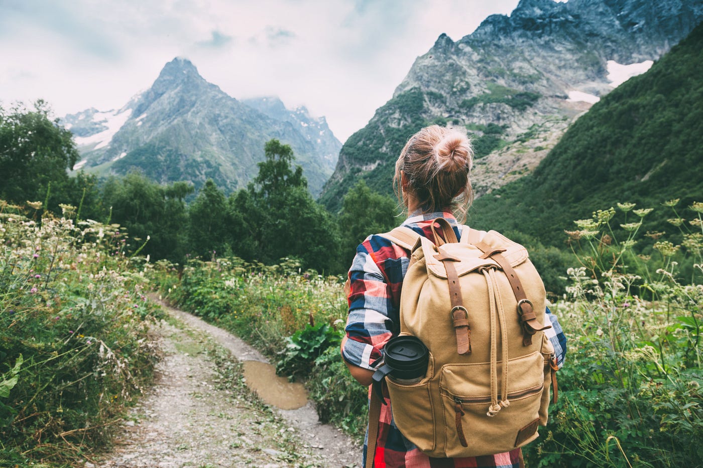 From Lecture Halls to Forest Trails: The Healing Power of Nature