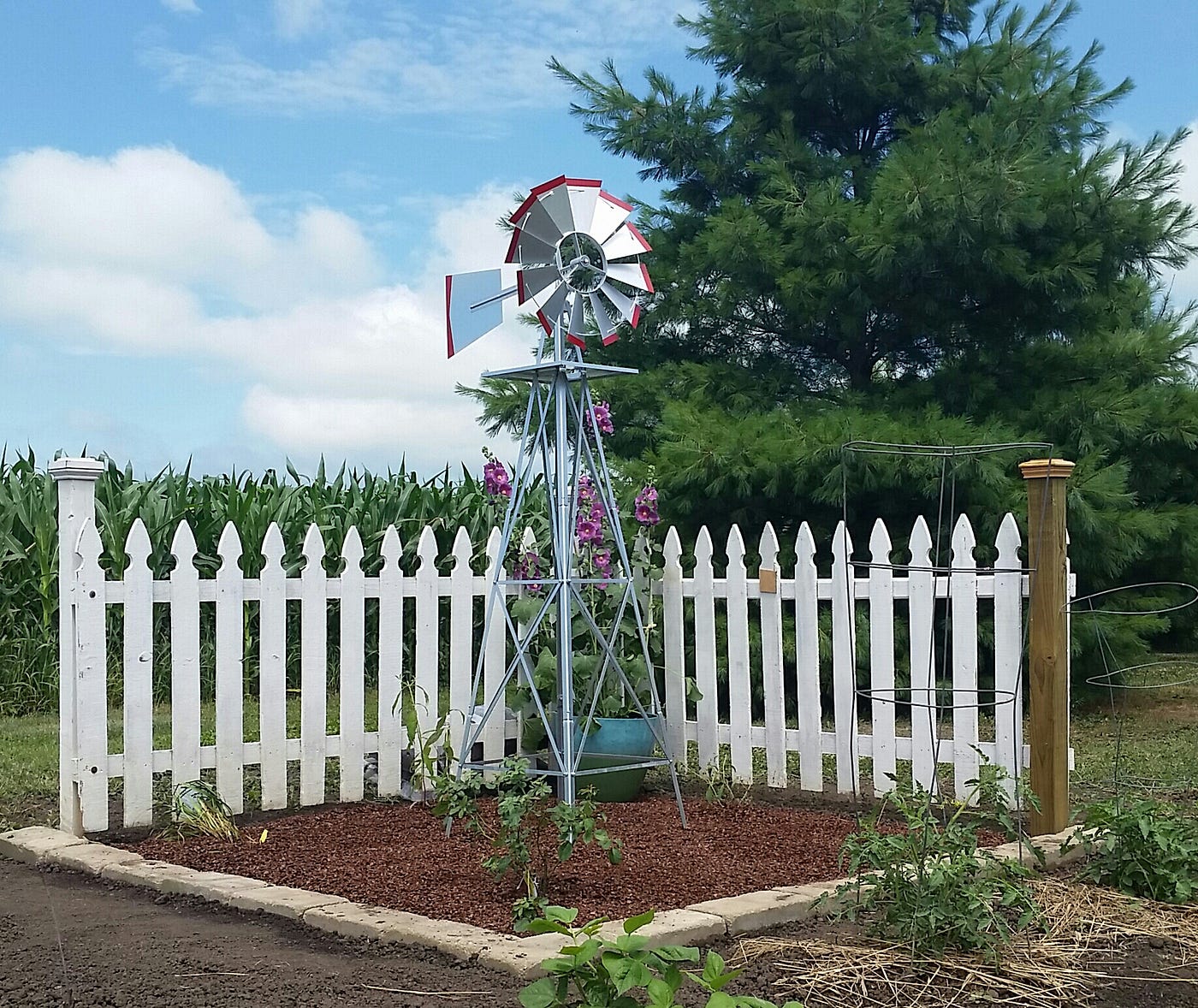 Windmills, Picket Fences, and Hollyhocks by Karen Gilson Medium