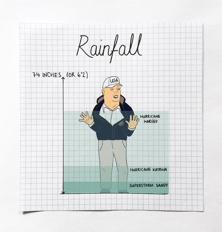 Mona Chalabi (@monachalabi) • Instagram photos and videos