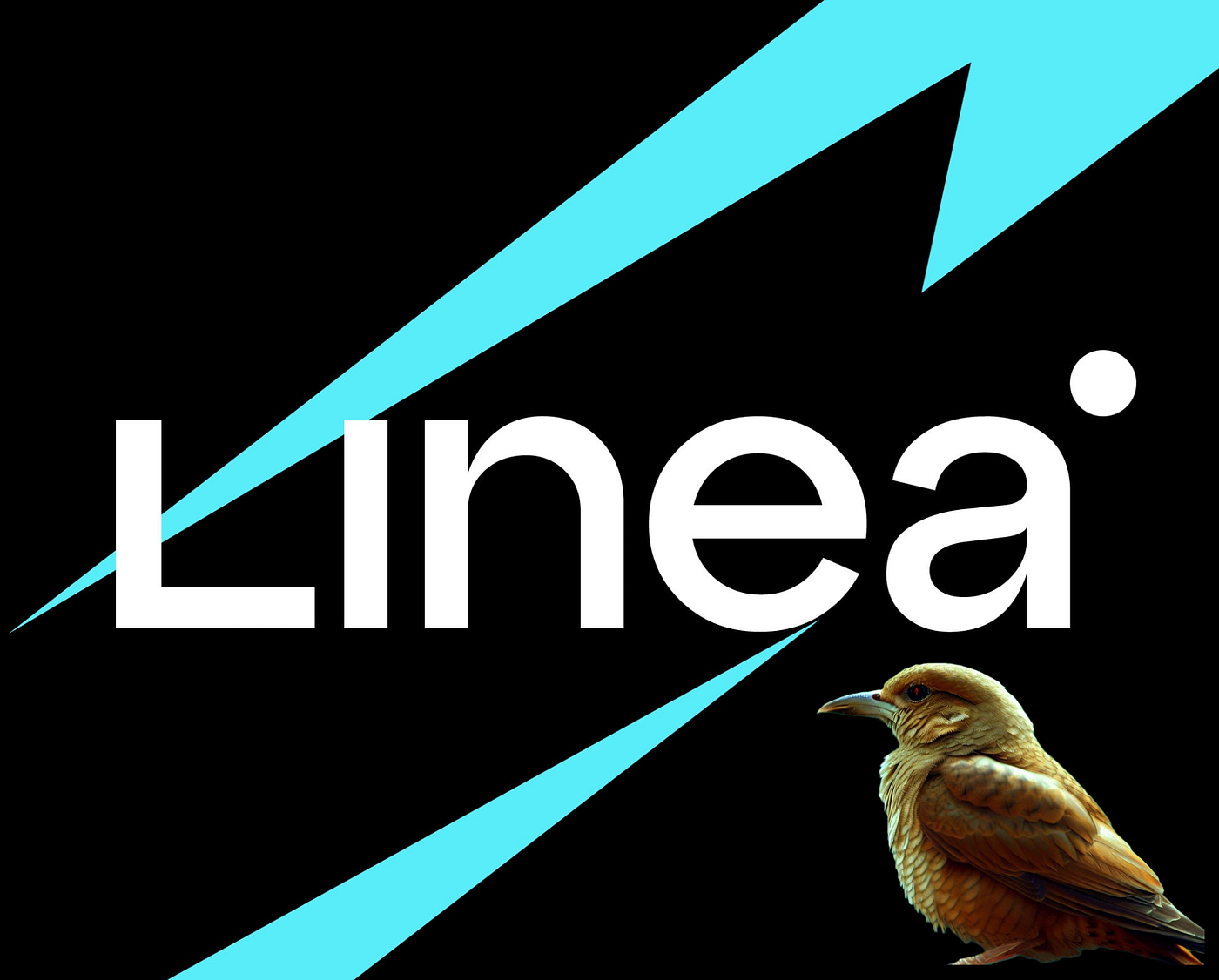 Далі Linea