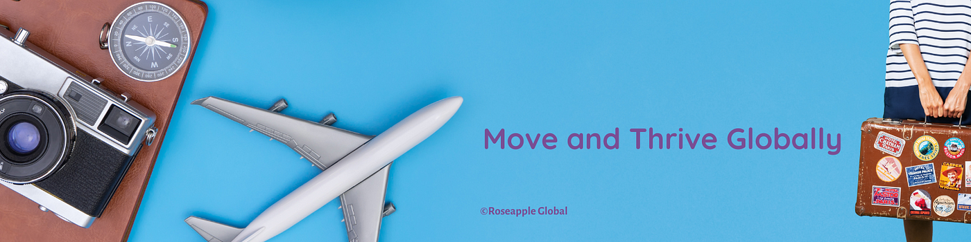 Image of camera sitting on notebook next to silver model airplane with hand holding a suitcase with words centered “ Move and Thrive Globally”