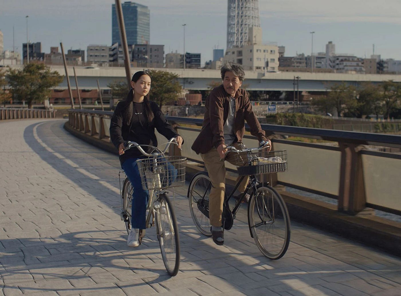El fiasco de Perfect days
