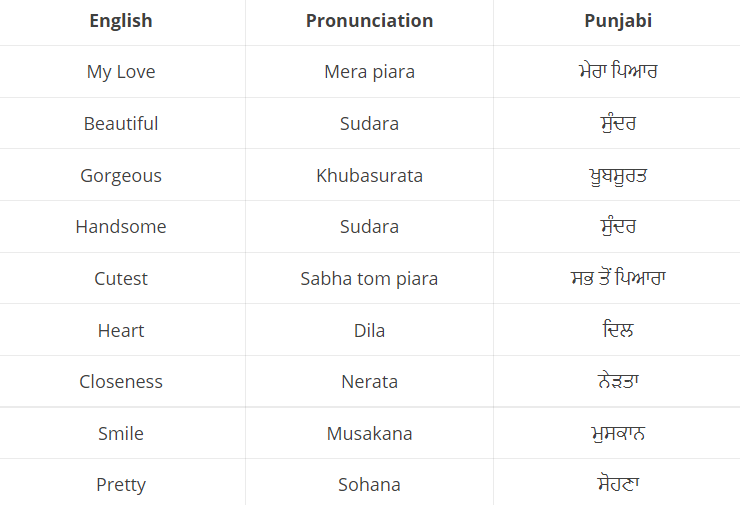 Basic English Words In Punjabi Version