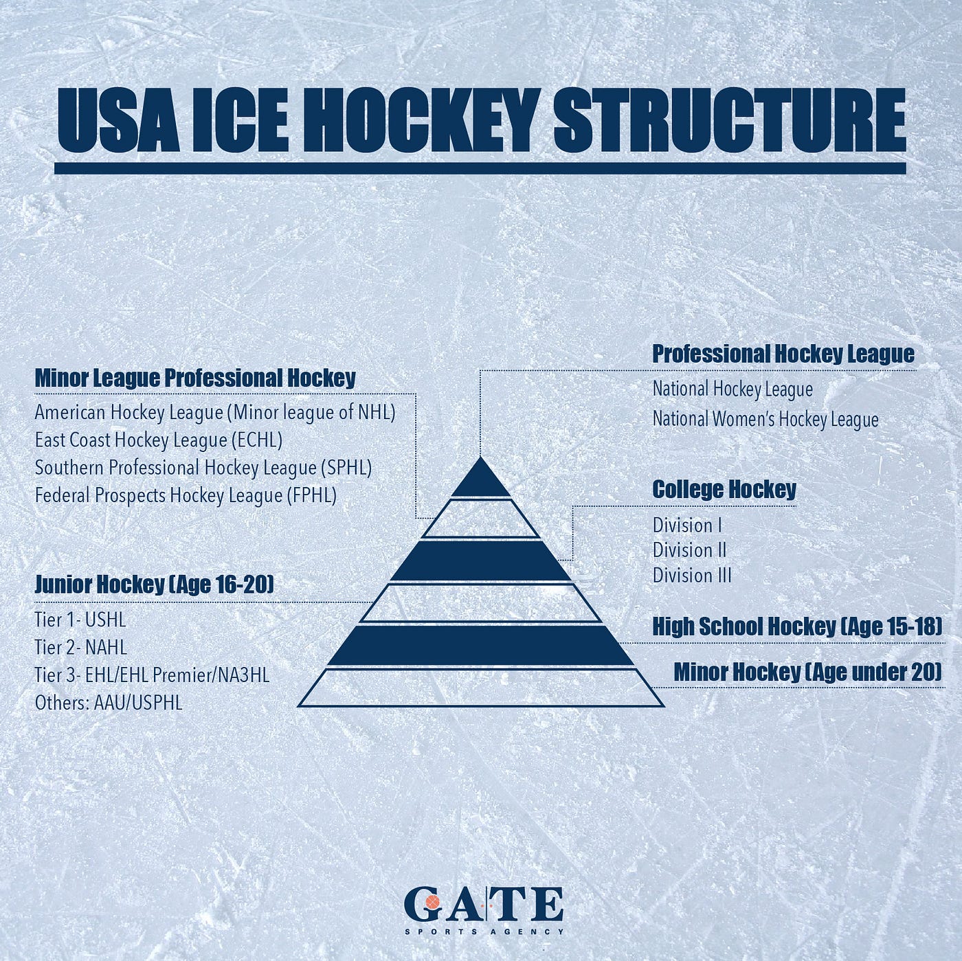 GATE 帶你認識美國運動職業聯盟－美國冰球Hockey in the U.S. | by GATE Sports Agency | Medium