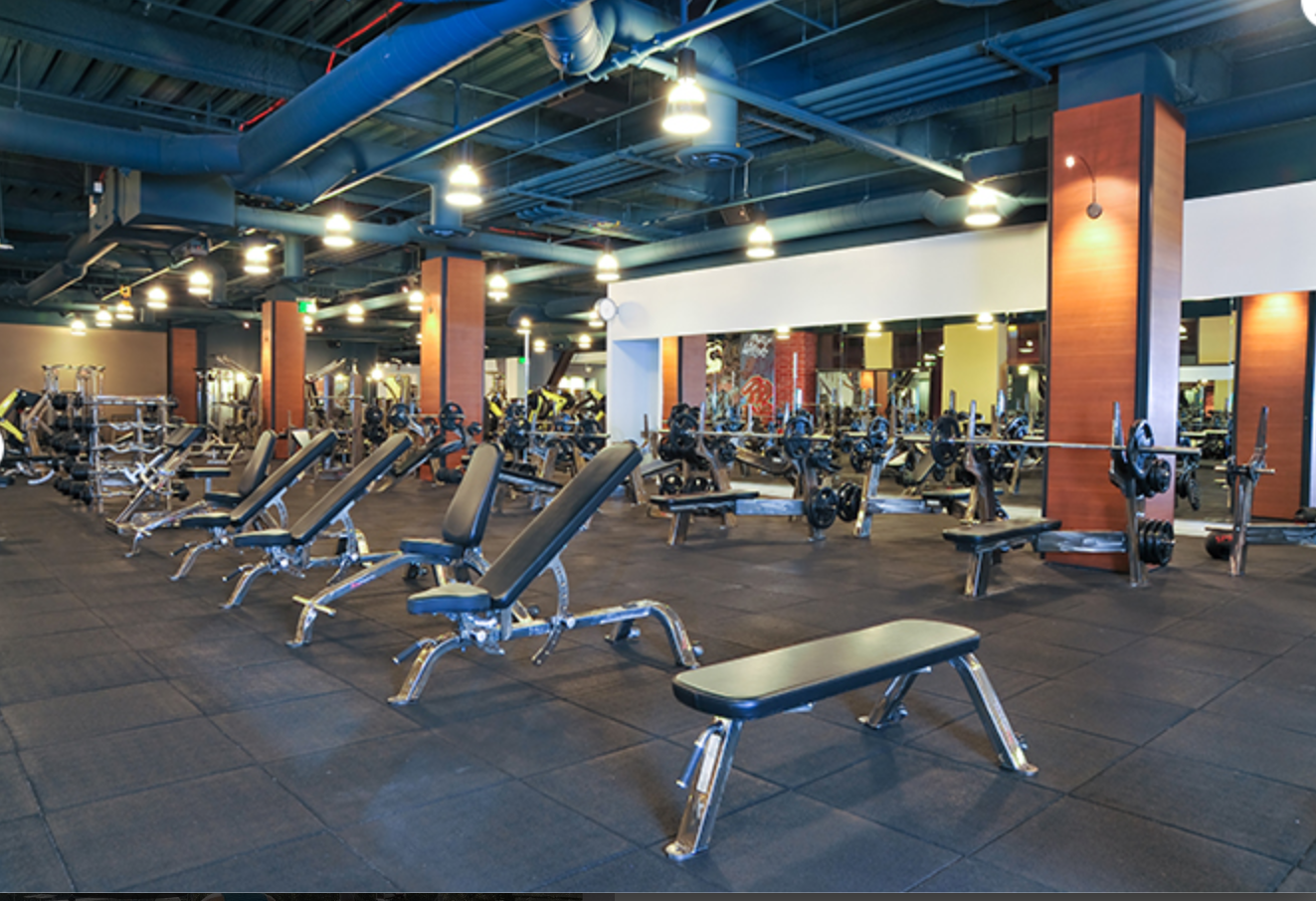 Fit 2024 athletic club
