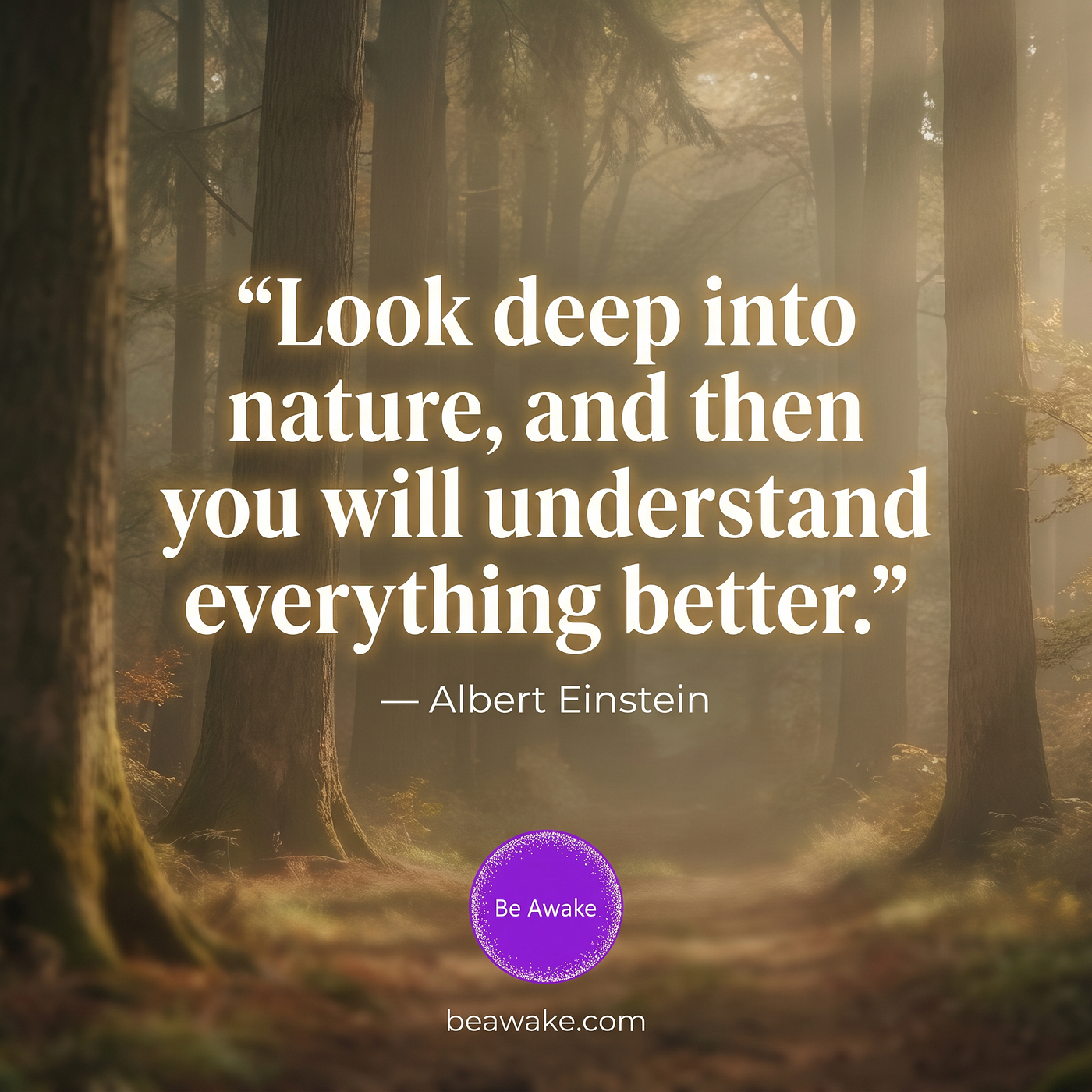 What Nature Can Teach Us About Life, Awareness, and Understanding